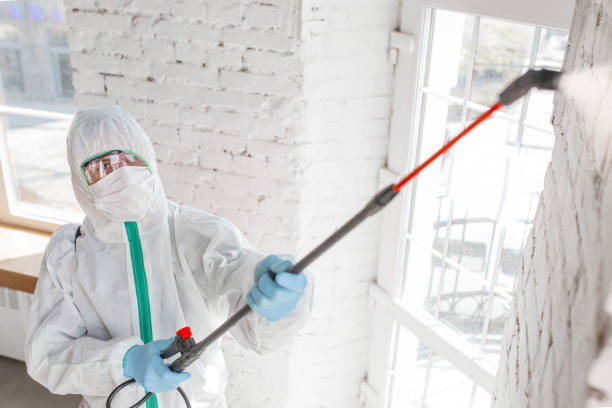 Best Mold Documentation for Insurance Claims  in Blythewood, SC